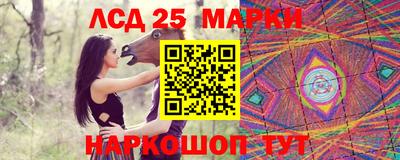 амф Донской