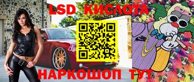 амф Донской